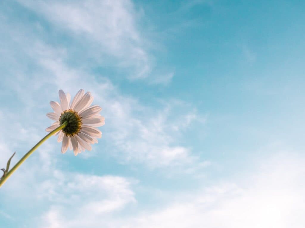 A Formal Apology, Now What?