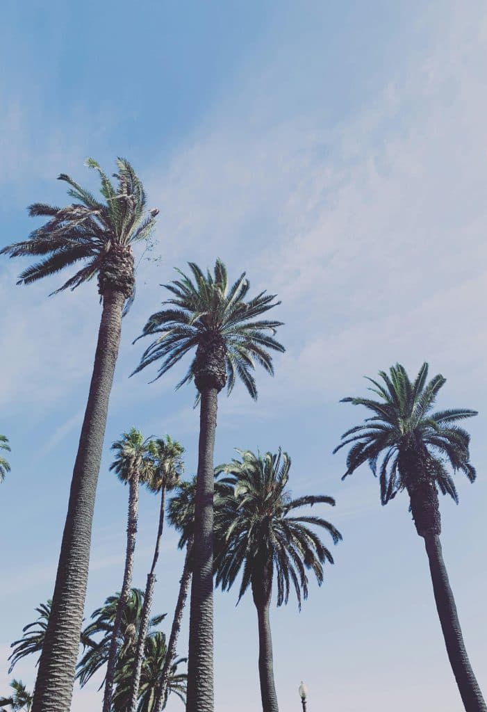 Uncovering the Hidden Gems of Southern California Real Estate