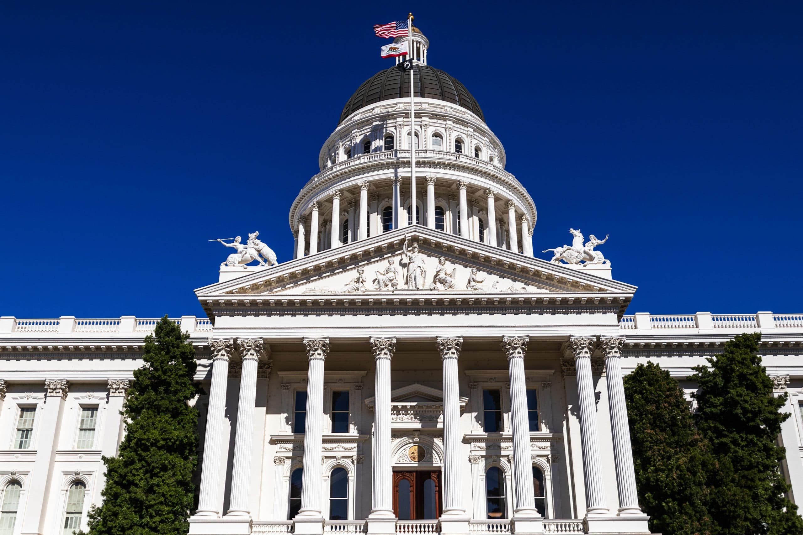 The Power of Protesting a Tax Hike