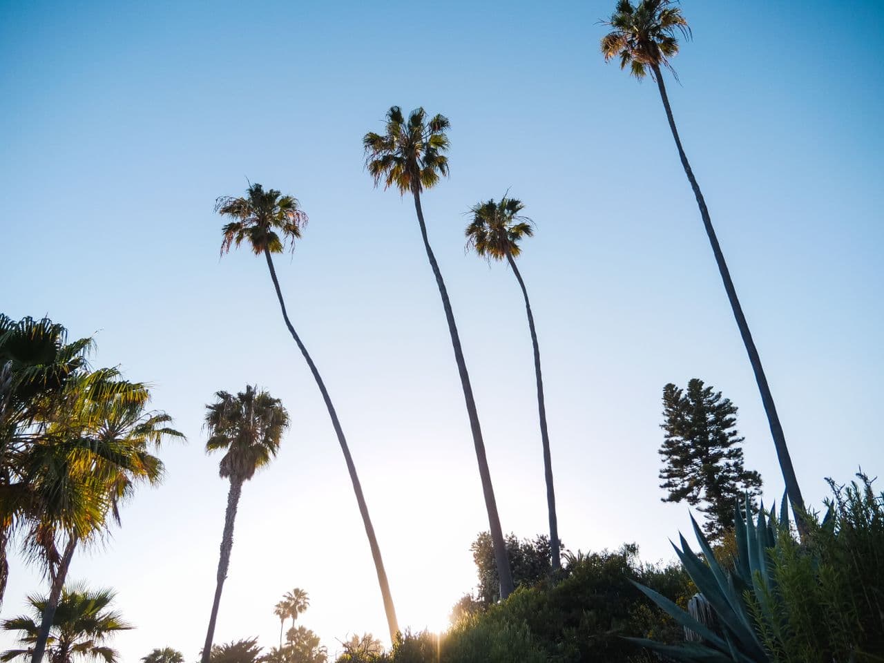 Happiness Happens Here: Finding Home in the South Bay