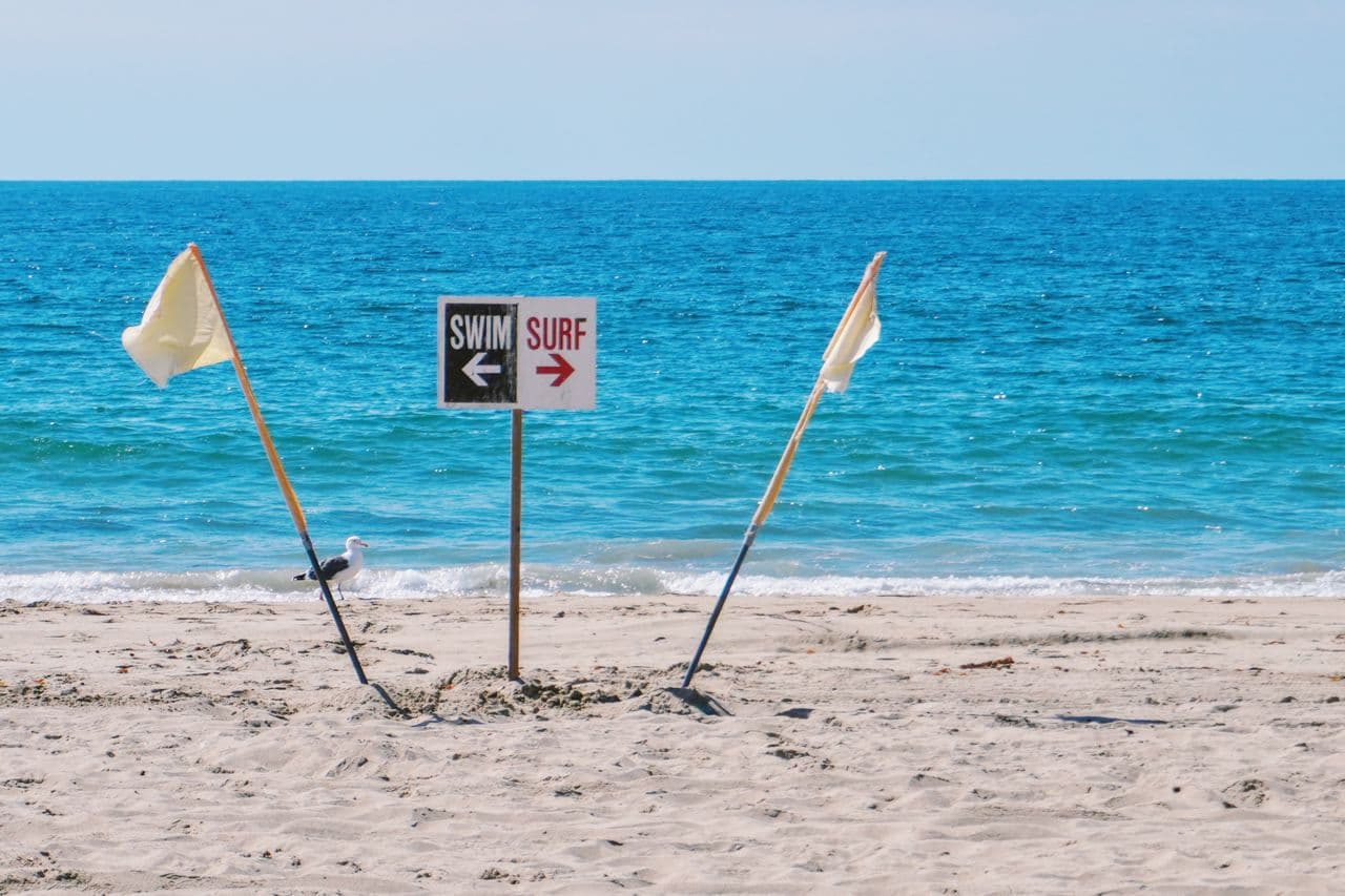 Renting vs. Owning in a Growing Coastal Market