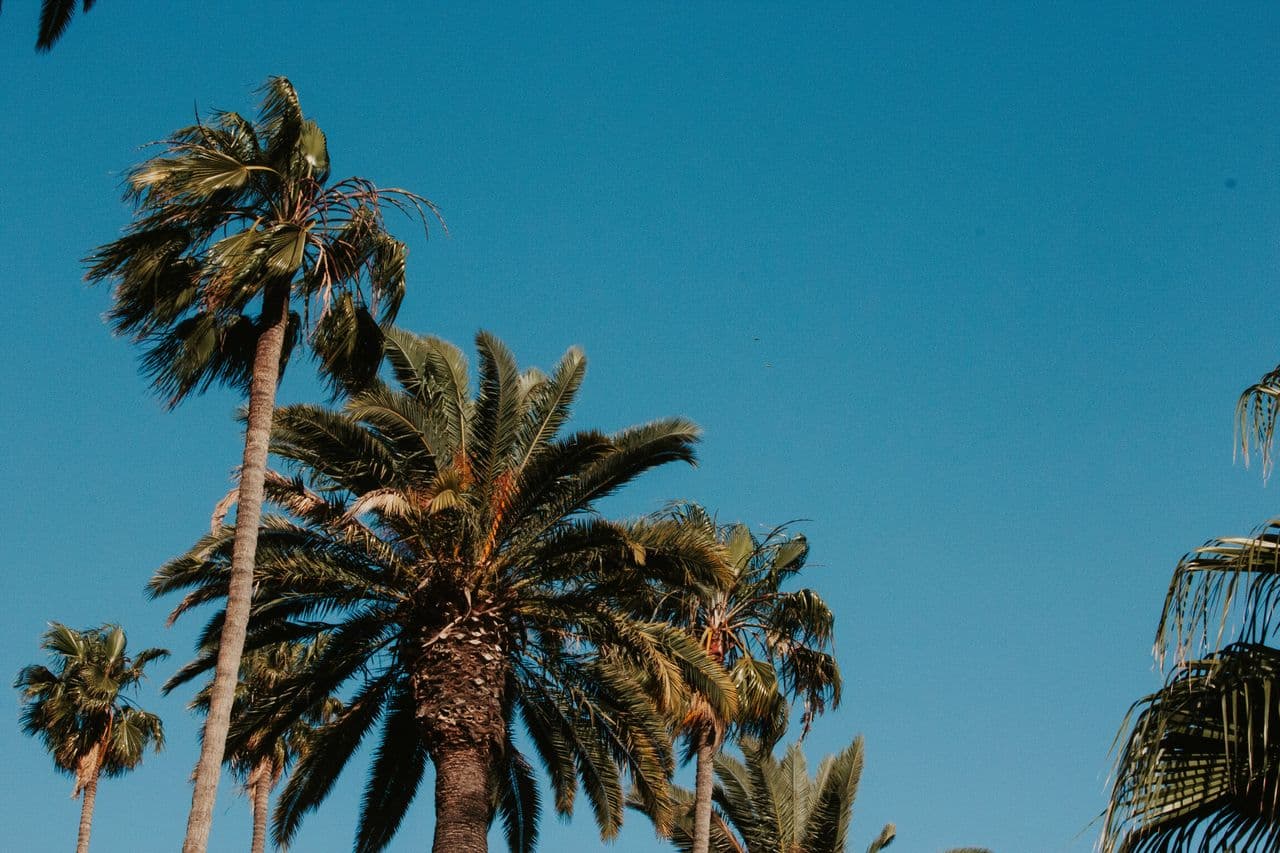 Why Location and Pricing Are Changing the Game This Week